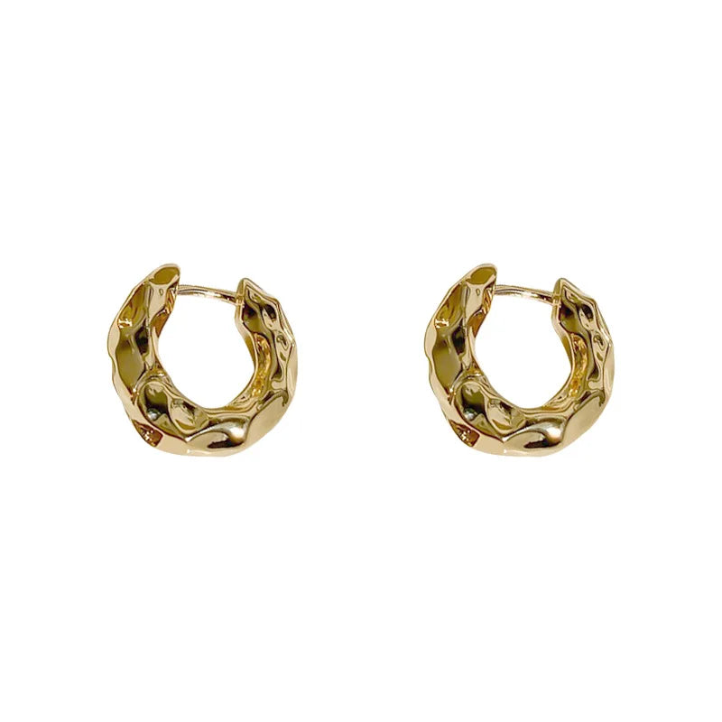 Wave Concise Geometry Hoop Earrings