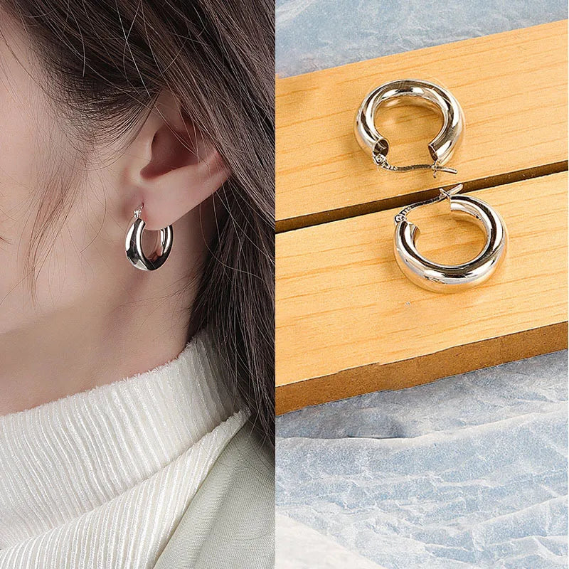 Wave Concise Geometry Hoop Earrings