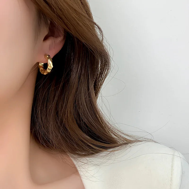 Wave Concise Geometry Hoop Earrings